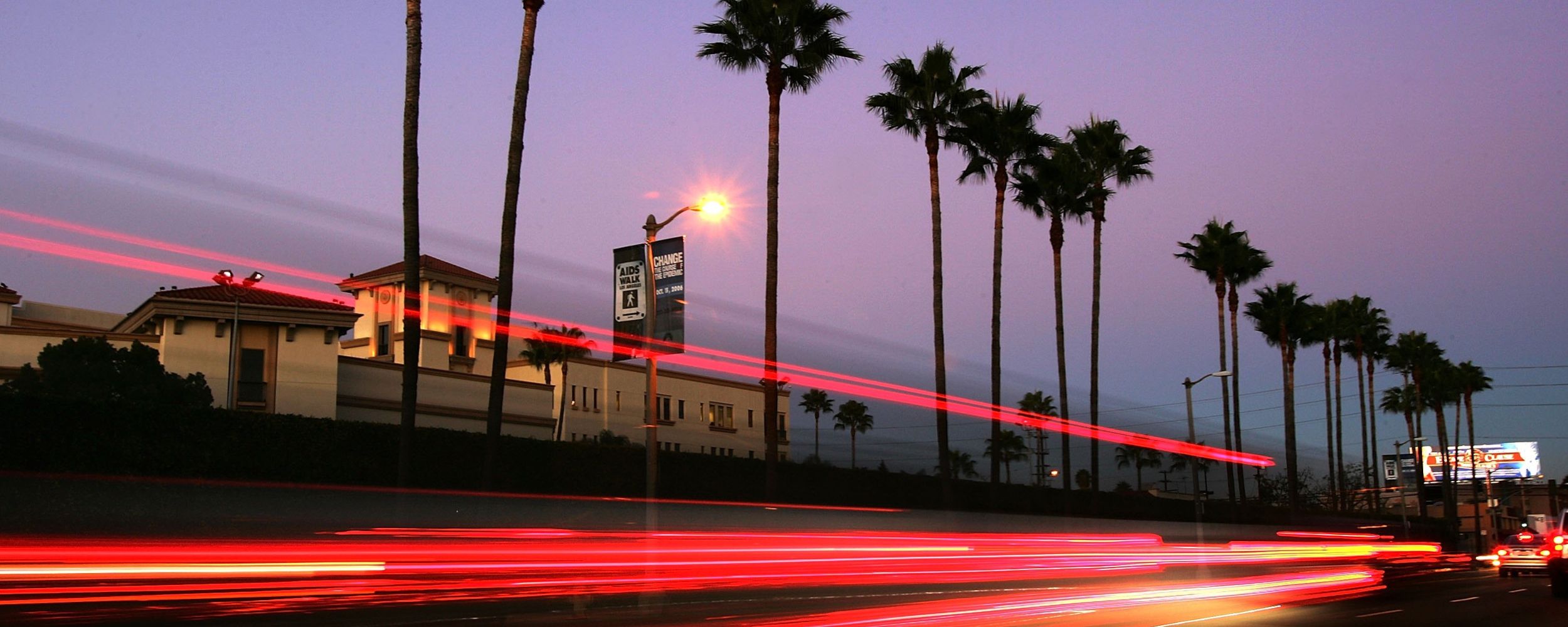 Palms